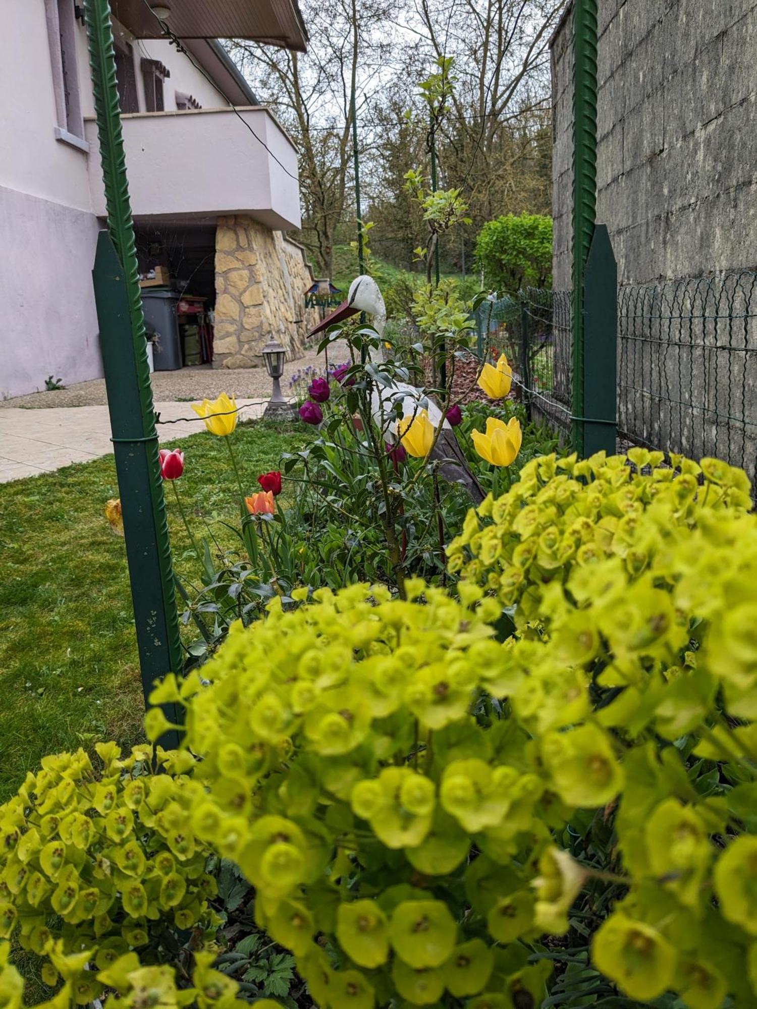 Villa Chantal Verdun-sur-Meuse Dış mekan fotoğraf